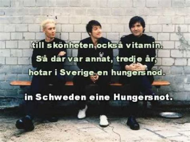 The Meaning Behind The Song: Jag Älskar Sverige! by Die Ärzte