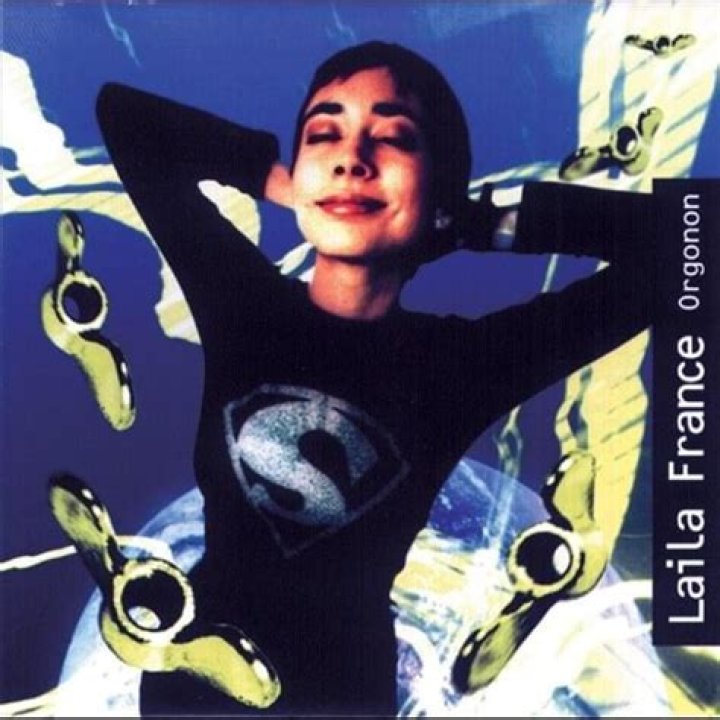 The Meaning Behind The Song: Japanese Especially by Laila France