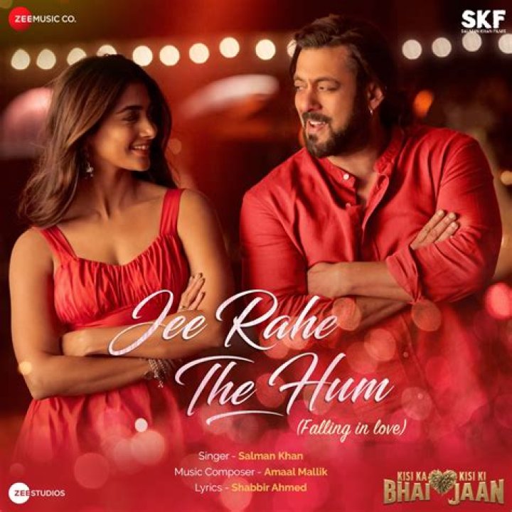 The Meaning Behind The Song: Jee Rahe The Hum (Falling in Love) by Salman Khan