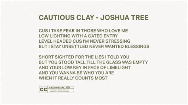 The Meaning Behind The Song: Joshua Tree by Cautious Clay