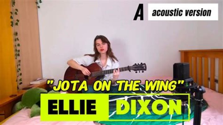 The Meaning Behind The Song: Jota on the Wing (Acoustic Version) by Ellie Dixon
