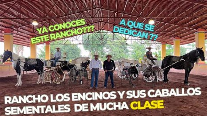 The Meaning Behind The Song: Juan Ramos by Grupo Encinos