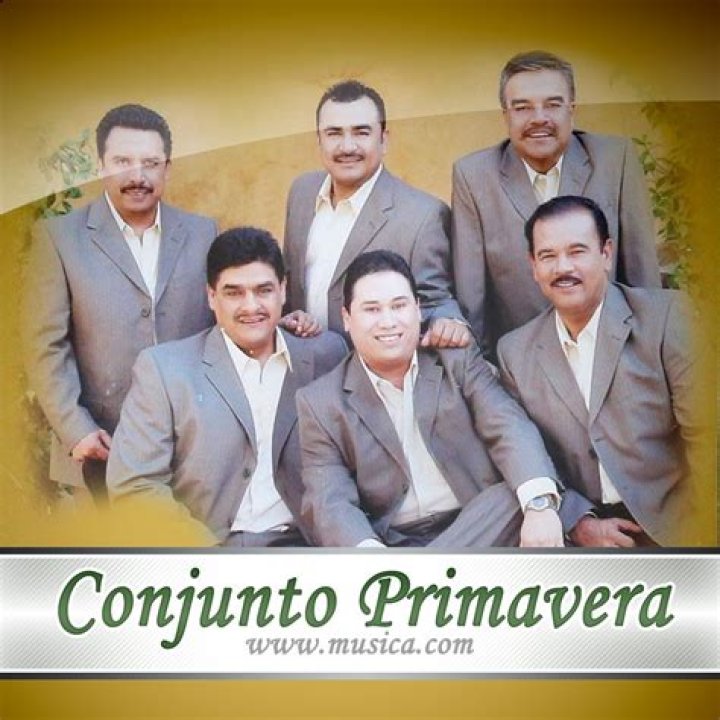 The Meaning Behind The Song: Jugando al Amor by Conjunto Primavera