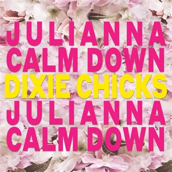 The Meaning Behind The Song: Julianna Calm Down by The Chicks