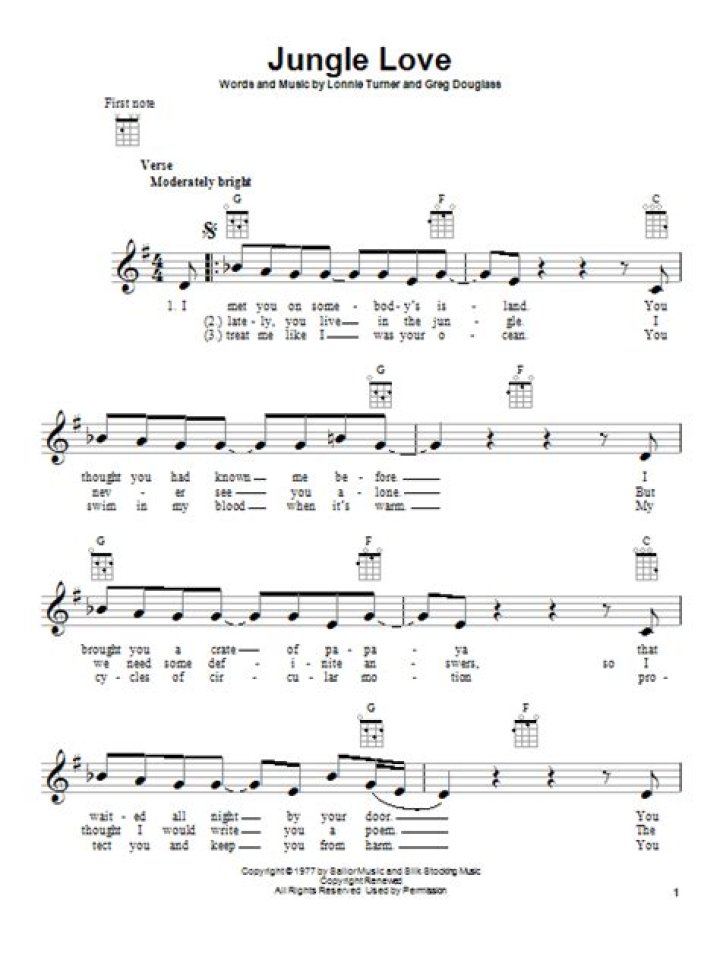 The Meaning Behind The Song: Jungle Love by Steve Miller Band