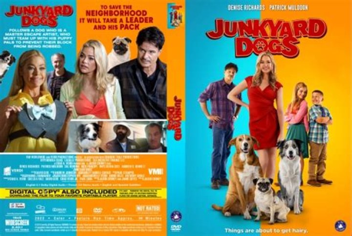 The Meaning Behind The Song: Junk Yard Dog by Winger