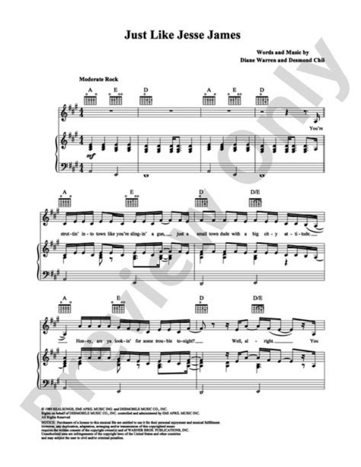 The Meaning Behind The Song: Just Like Jesse James by Cher