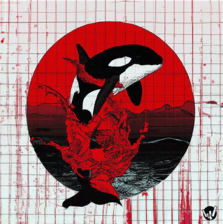 The Meaning Behind The Song: KATİL BALİNA by Gxblin