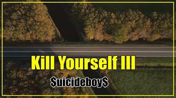 The Meaning Behind The Song: Kill Yourself III ($uicideboy$ cover) by Van Roy Asylum