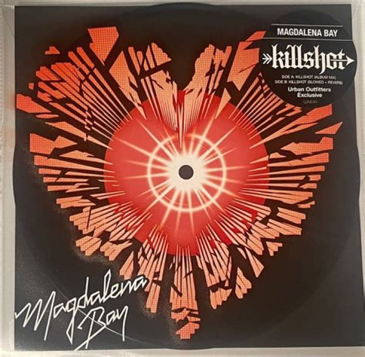 The Meaning Behind The Song: Killshot by Magdalena Bay