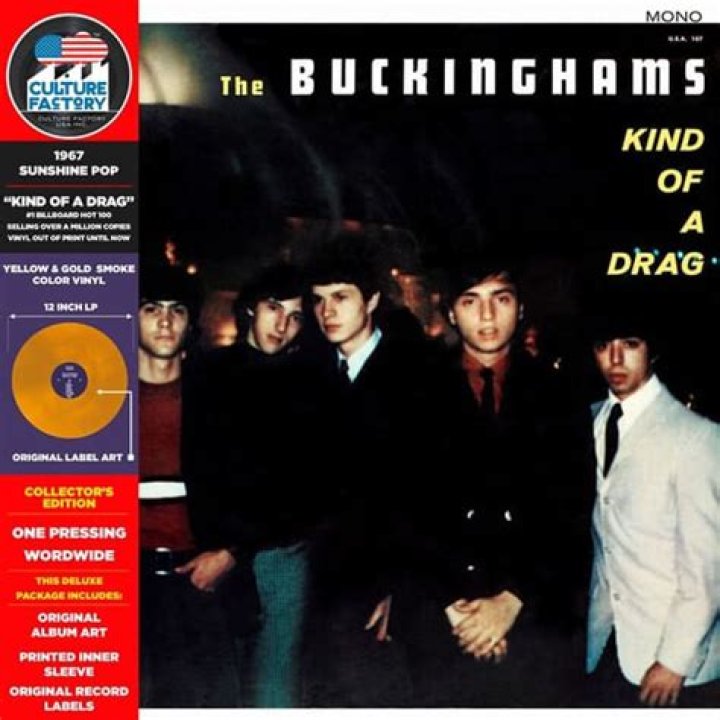 The Meaning Behind The Song: Kind of a Drag by The Buckinghams