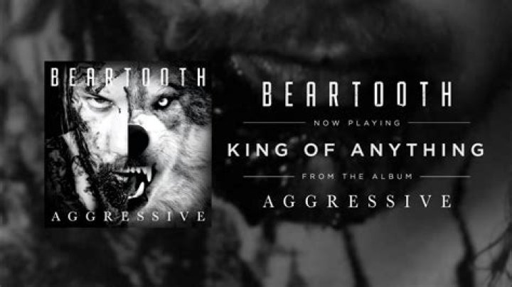 The Meaning Behind The Song: King of Anything by Beartooth