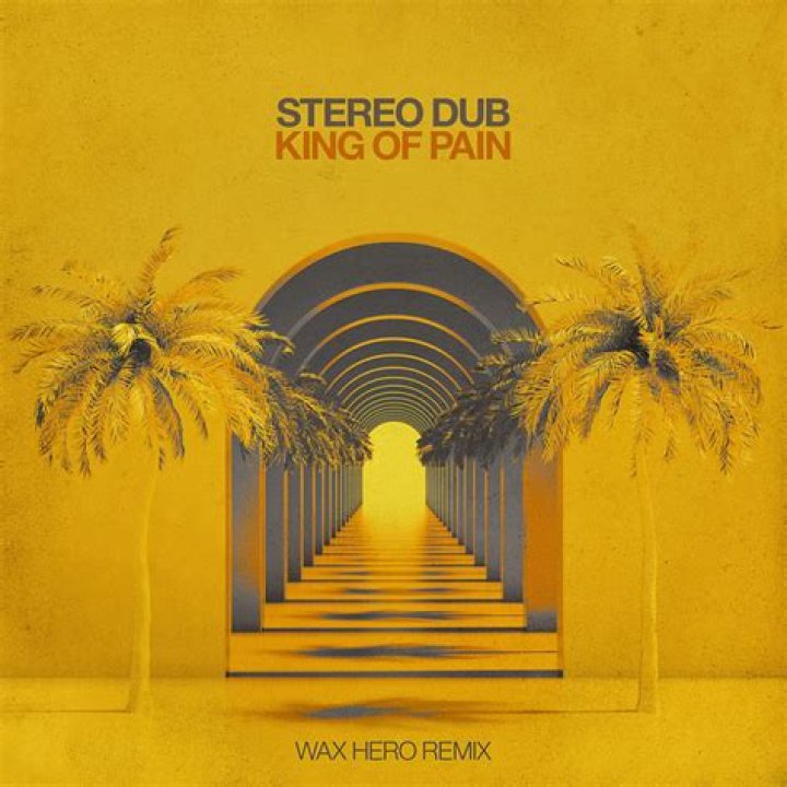The Meaning Behind The Song: King Of Pain by Stereo Dub