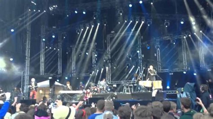 The Meaning Behind The Song: King of the Wild Things by Instrumenti