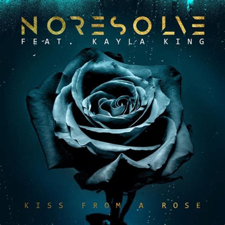 The Meaning Behind The Song: Kiss From a Rose by No Resolve