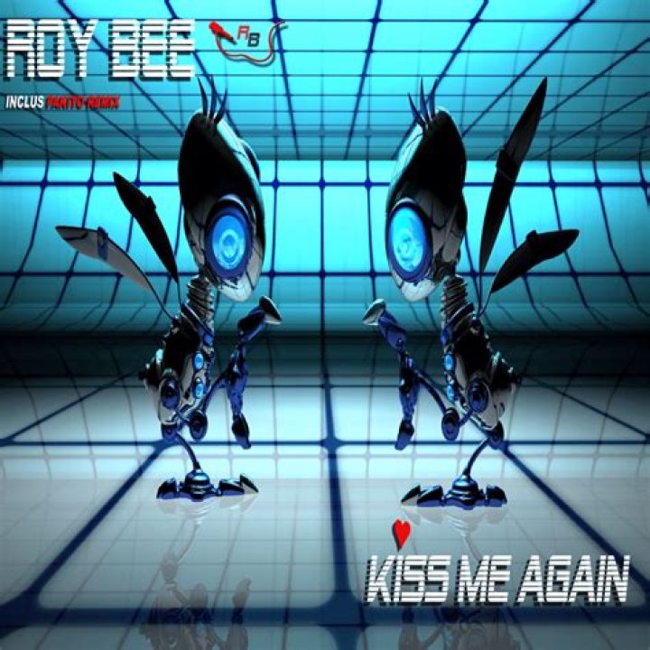 The Meaning Behind The Song: Kiss Me Again (Club Mix) by Roy Bee