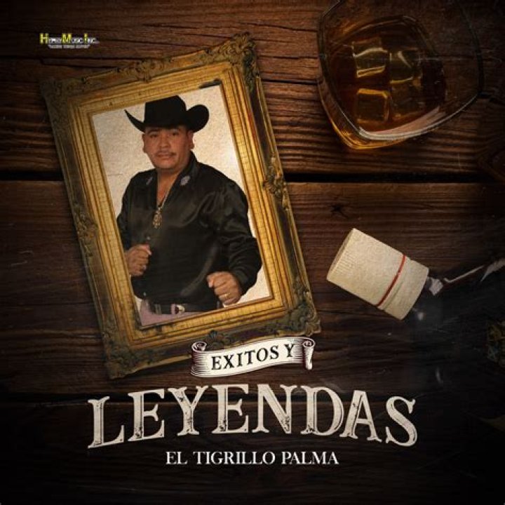 The Meaning Behind The Song: La botella by El Tigrillo Palma