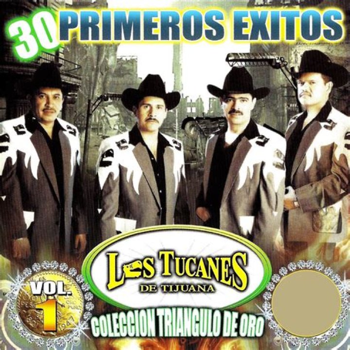 The Meaning Behind The Song: La Buena Vida by Los Tucanes de Tijuana
