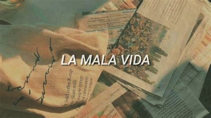 The Meaning Behind The Song: La Mala Vida by EME 15