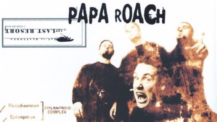 The Meaning Behind The Song: Last Resort by Papa Roach