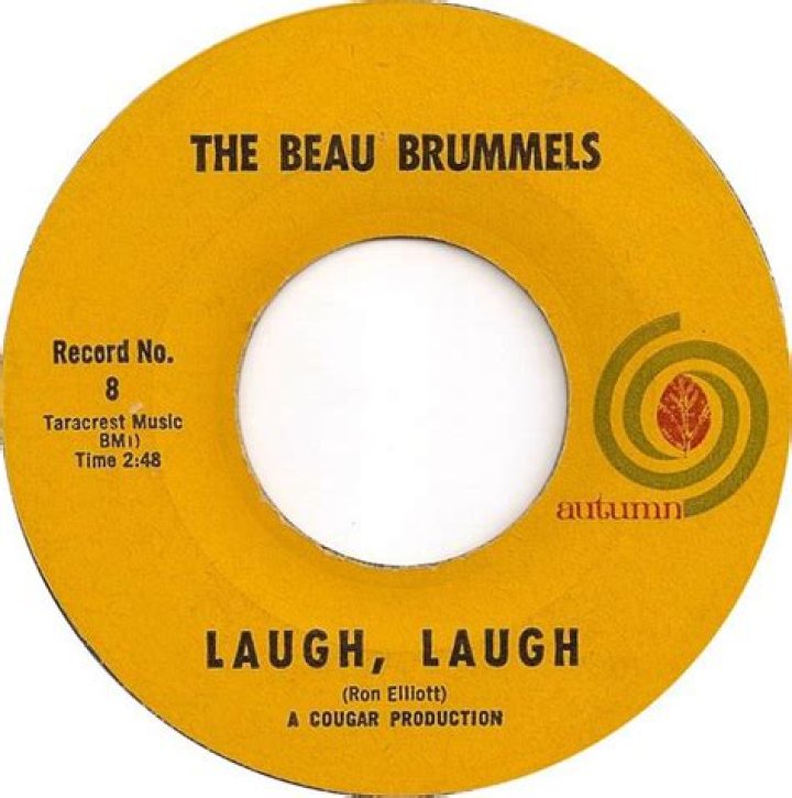 The Meaning Behind The Song: Laugh – Laugh by The Beau Brummels