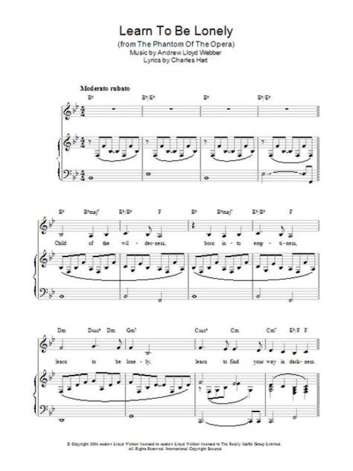 The Meaning Behind The Song: Learn to Be Lonely by Andrew Lloyd Webber