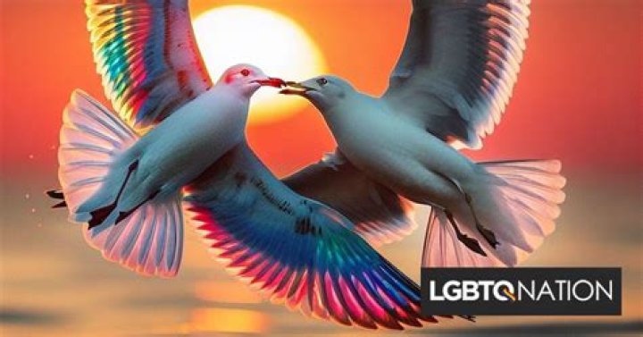 The Meaning Behind The Song: Lesbian Seagull by Engelbert Humperdinck