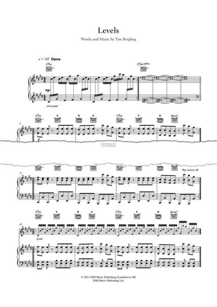 The Meaning Behind The Song: Levels by Avicii