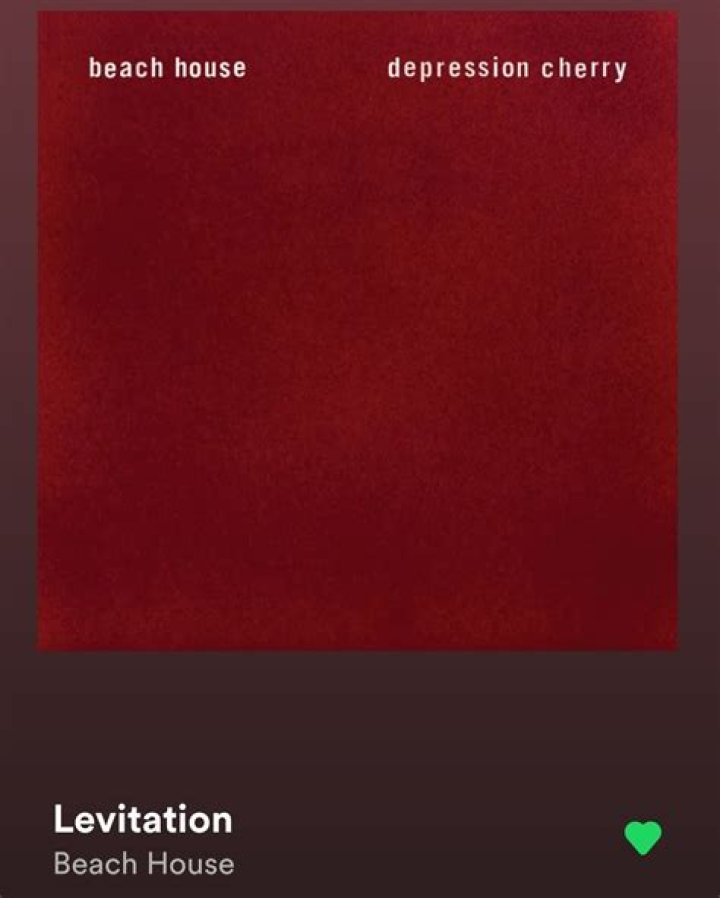 The Meaning Behind The Song: Levitation by Beach House