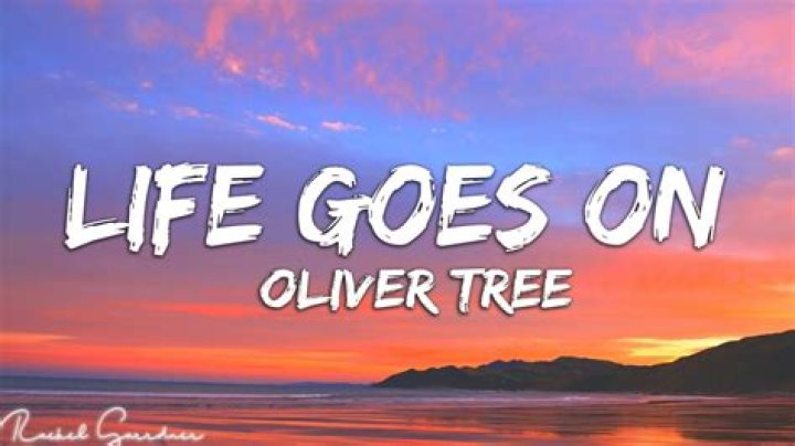 The Meaning Behind The Song: Life Goes On by Oliver Tree