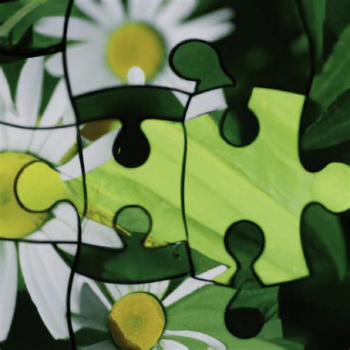 The Meaning Behind The Song: Life’s Puzzle by Reverie & Guru Doug