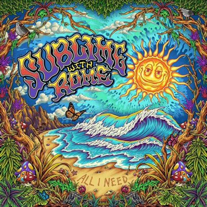 The Meaning Behind The Song: Light On by Sublime with Rome