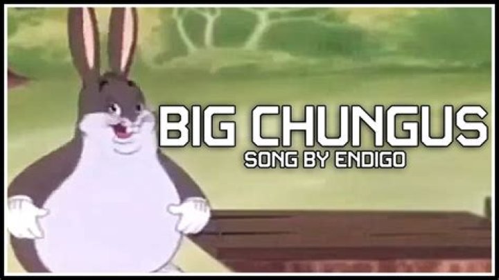 The Meaning Behind The Song: Lil Chungus by Vorsp