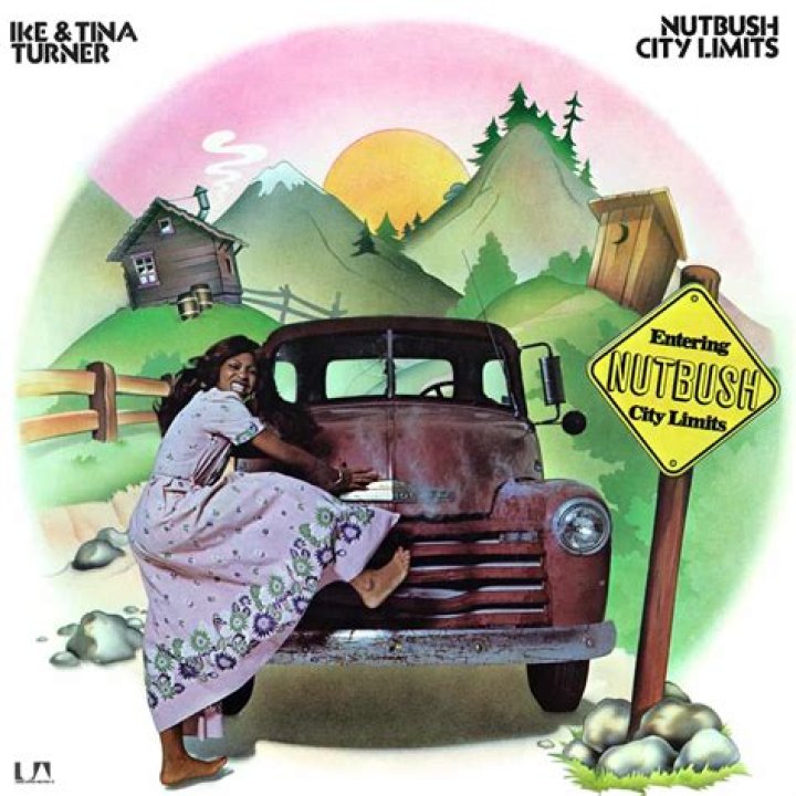 The Meaning Behind The Song: Living for the City by Ike & Tina Turner