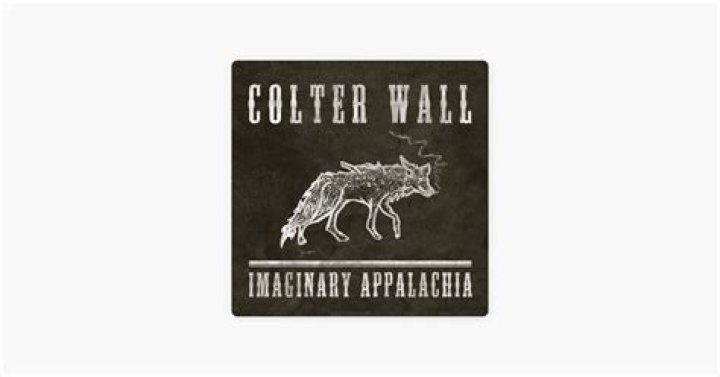 The Meaning Behind The Song: Living on the Sand by Colter Wall