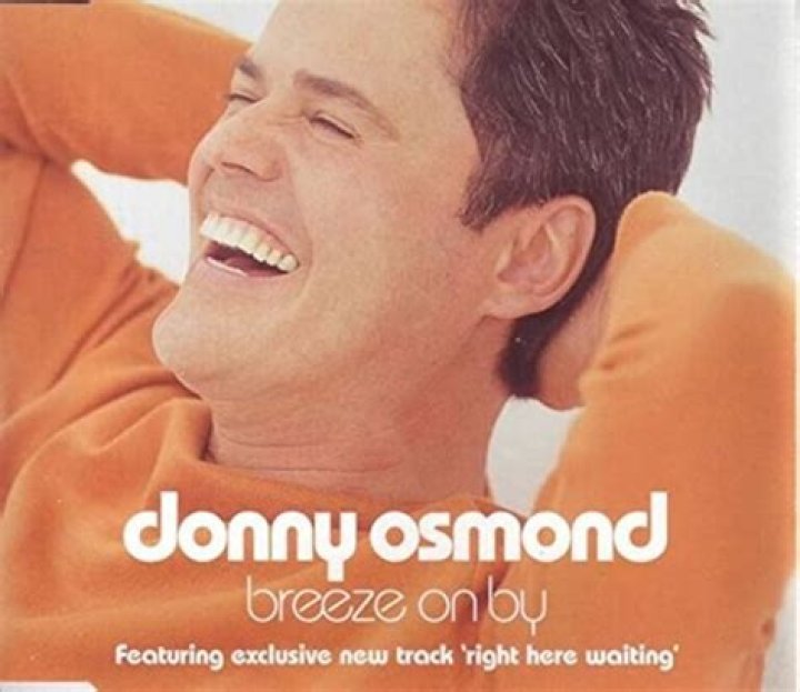 The Meaning Behind The Song: Lollipops – Lace And Lipstick by Donny Osmond