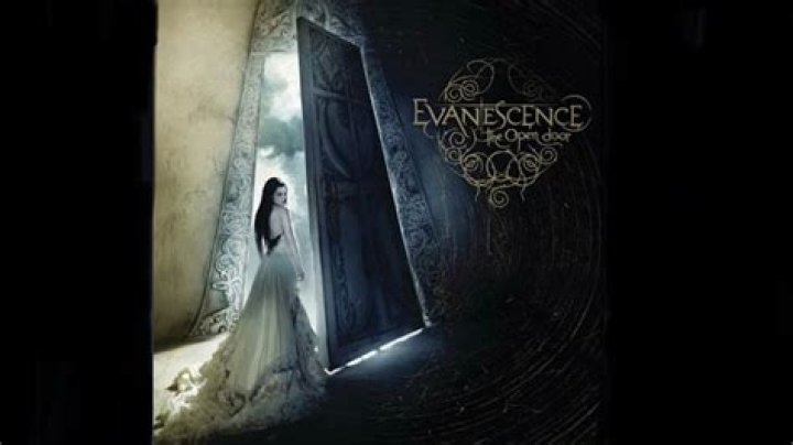 The Meaning Behind The Song: Lose Control by Evanescence