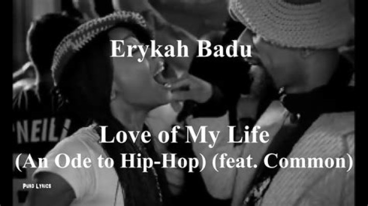 The Meaning Behind The Song: Love of My Life (An Ode to Hip Hop) by Erykah Badu