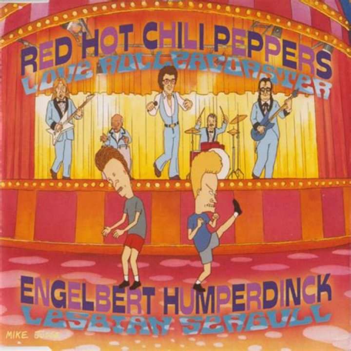 The Meaning Behind The Song: Love Rollercoaster by Red Hot Chili Peppers