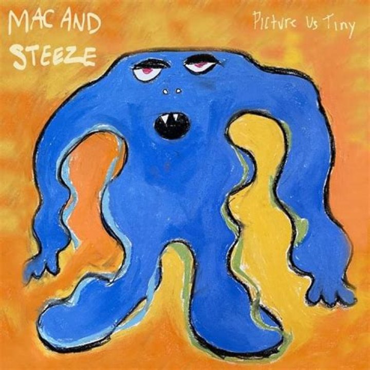 The Meaning Behind The Song: Mac and Steeze by Picture Us Tiny