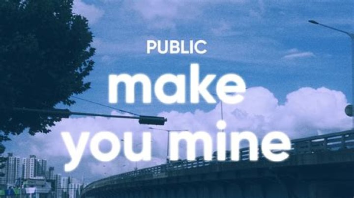 The Meaning Behind The Song: Make You Mine by public