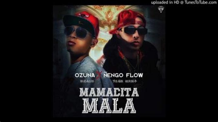 The Meaning Behind The Song: Mamasita Mala by Ñengo Flow