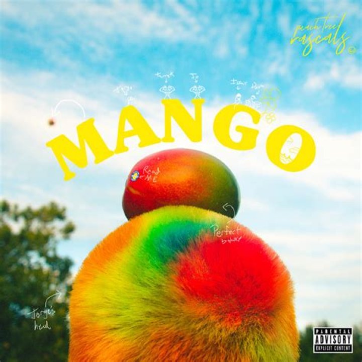 The Meaning Behind The Song: Mango by Peach Tree Rascals