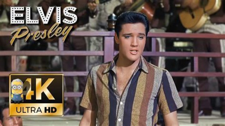 The Meaning Behind The Song: Marguerita by Elvis Presley