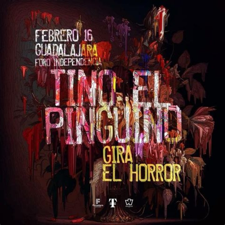 The Meaning Behind The Song: Más Noche by Tino el Pingüino