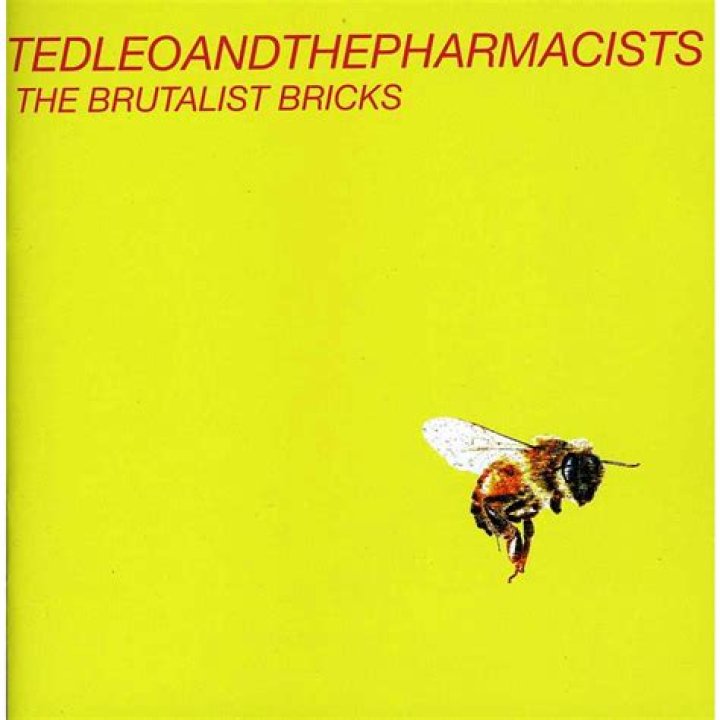 The Meaning Behind The Song: Me and Mia by Ted Leo and The Pharmacists