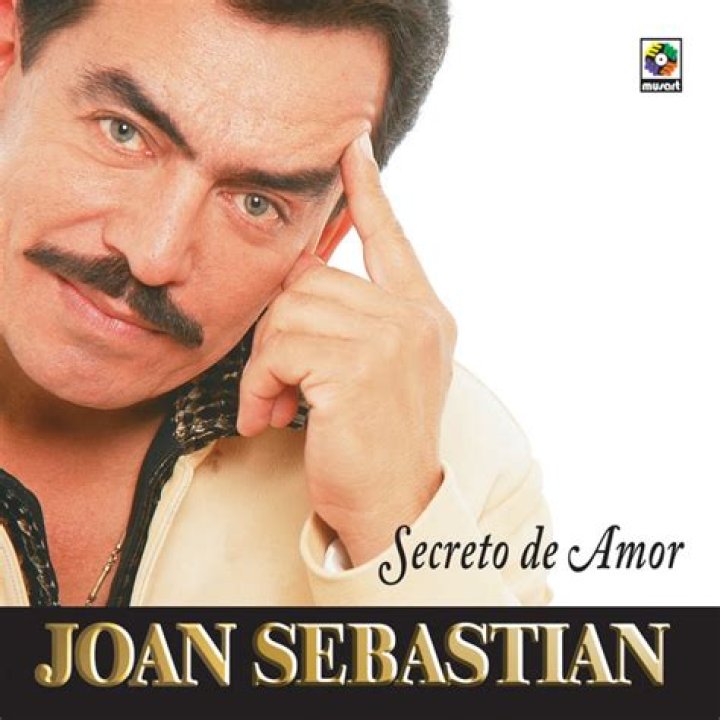 The Meaning Behind The Song: Me Gustas by Joan Sebastían