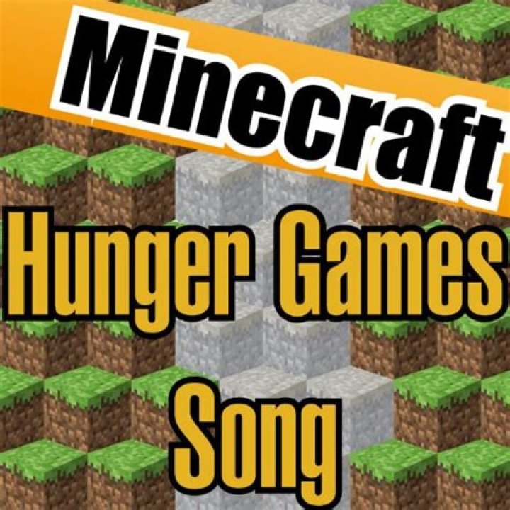 The Meaning Behind The Song: Minecraft hunger games song by Deebri Media