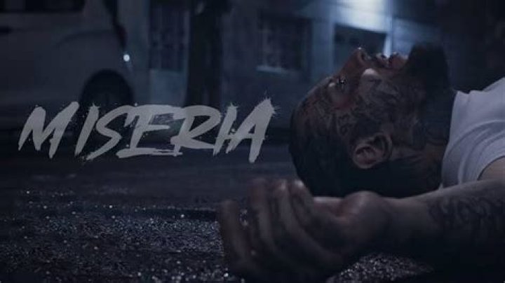 The Meaning Behind The Song: Miseria by Lobo Estepario