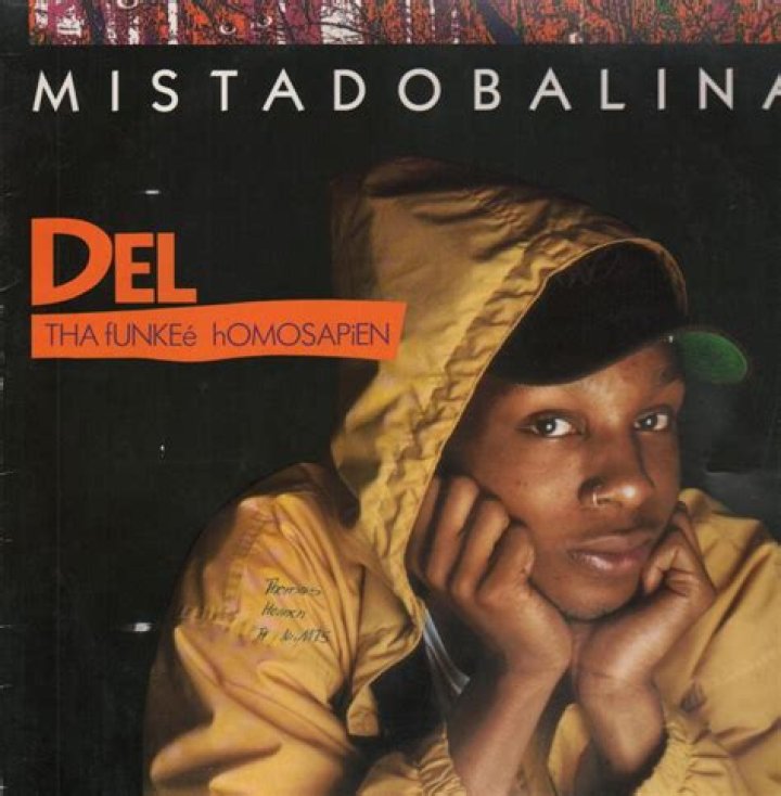 The Meaning Behind The Song: Mistadobalina by Del the Funky Homosapien